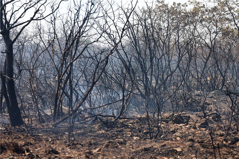 Firefighter killed while putting out fire in Dubrovnik area 