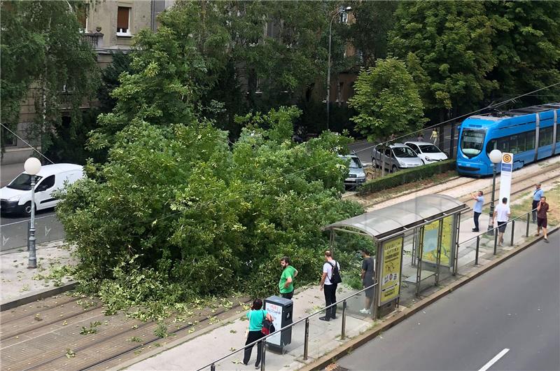 Na tramvajsku prugu palo stablo i ozlijedilo jednu osobu