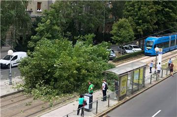 Na tramvajsku prugu palo stablo i ozlijedilo jednu osobu