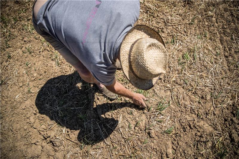 FRANCE WEATHER DROUGHT