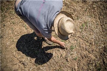 FRANCE WEATHER DROUGHT