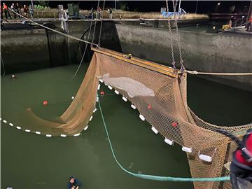 FRANCE BELUGA SEINE RIVER