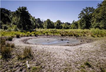 NETHERLANDS DROUGHT WEATHER