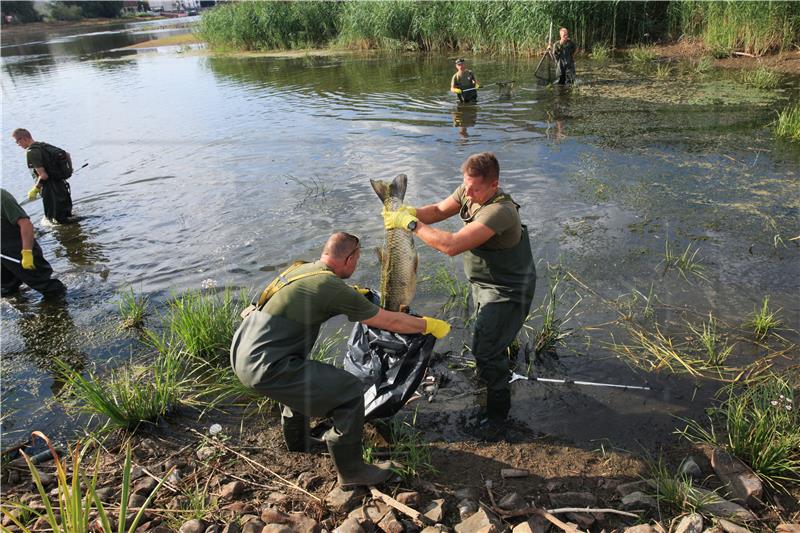 POLAND ECOLOGY