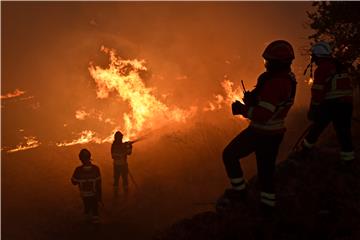 PORTUGAL FOREST FIRE