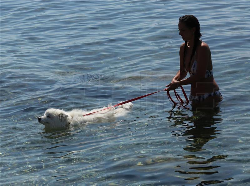 Rijeka: Kućni ljubimci uživaju u kupanju