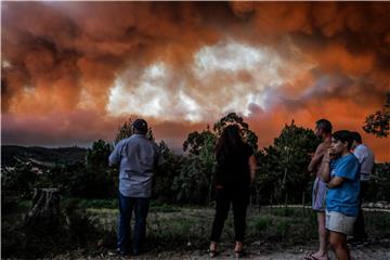 PORTUGAL FOREST FIRE