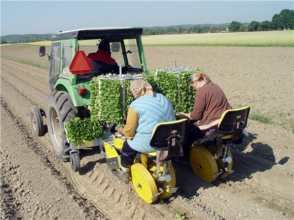 CERP invites bids for purchase of five stakes in Agroduhan tobacco company