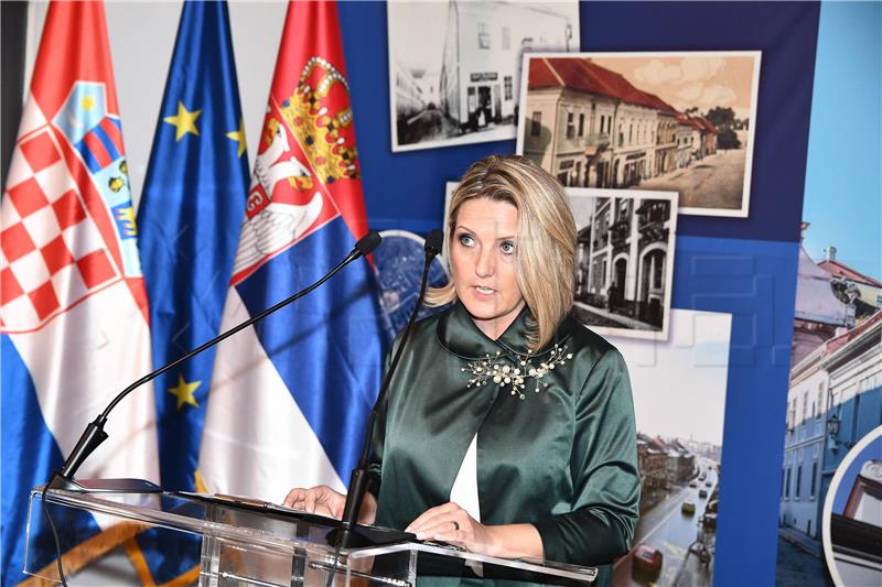 Croatian National Council against Serbia's minority action plan