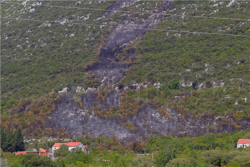 Požar na Ravči pod kontrolom, izgorjelo 4 hektara borove šume