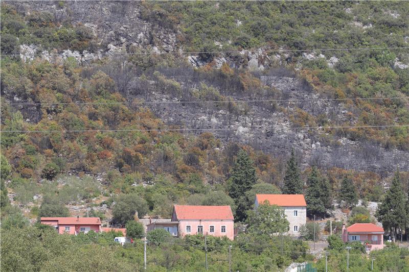 Požar na Ravči pod kontrolom, izgorjelo 4 hektara borove šume