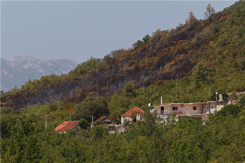 Požar na Ravči pod kontrolom, izgorjelo 4 hektara borove šume