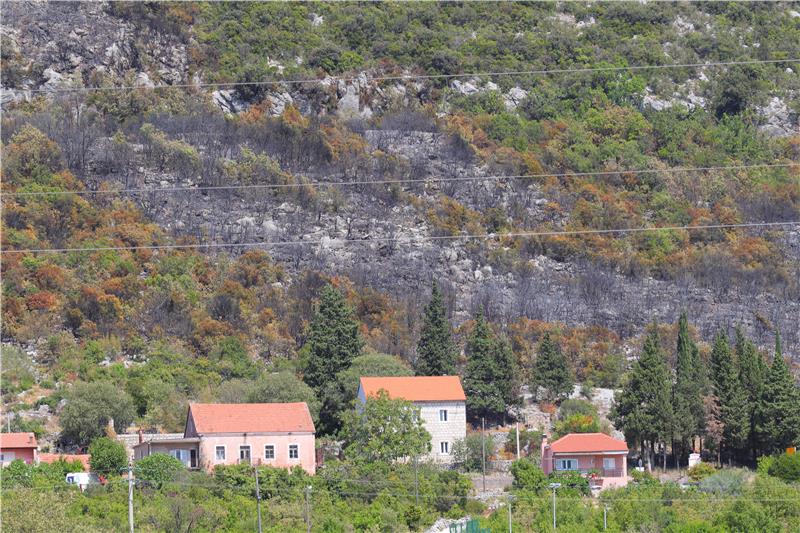 Požar na Ravči pod kontrolom, izgorjelo 4 hektara borove šume