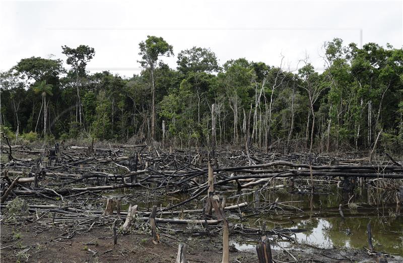 COLOMBIA DEFORESTATION