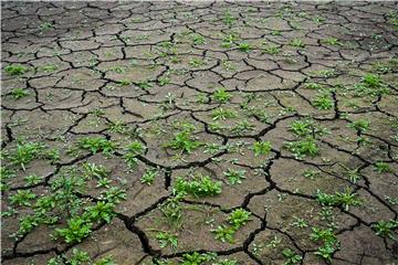 POLAND WEATHER DROUGHT