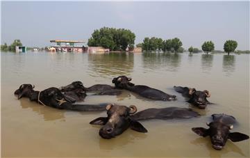 PAKISTAN FLOOD