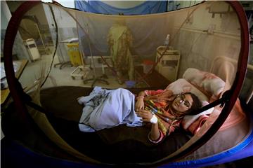 PAKISTAN DISEASES DENGUE FEVER