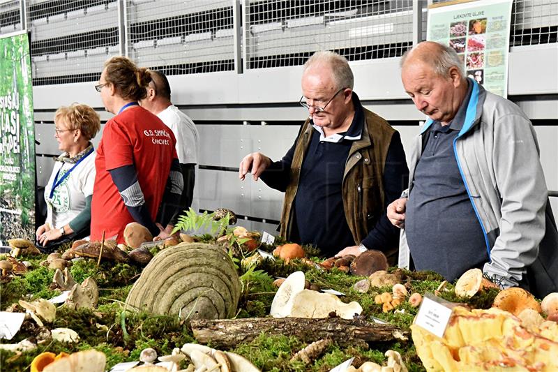 Varaždin: Međunarodni sajam Priroda, lov, ribolov, turizam