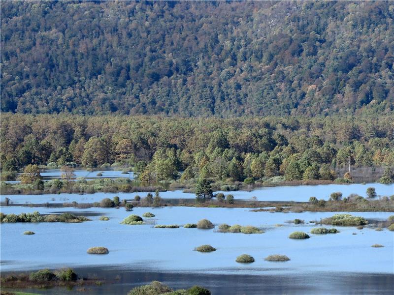 REPORTAŽA: Drežnica: Obilje baštine koja se potiskuje i uništava