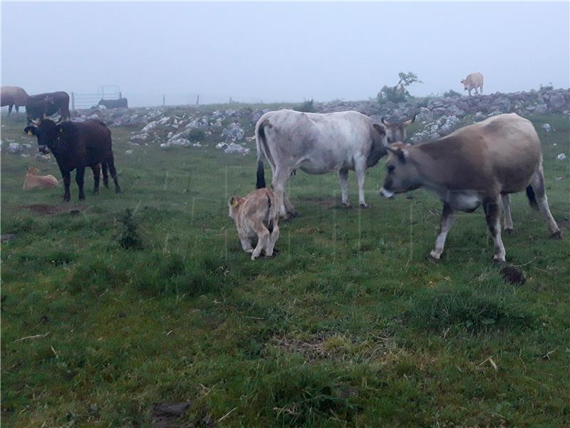 Project documentation being prepared for mountain farming centre 