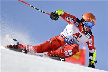 AUSTRIA ALPINE SKIING WORLD CUP