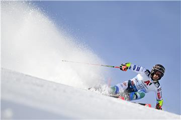 AUSTRIA ALPINE SKIING WORLD CUP