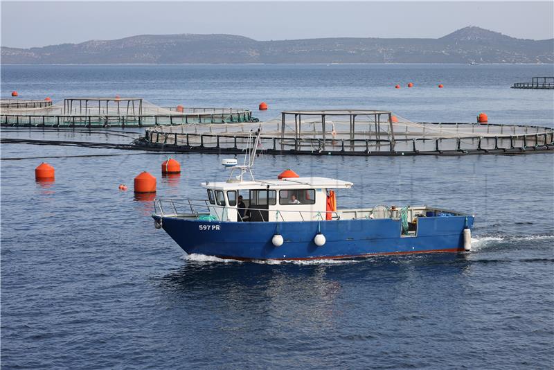 Zadar: Novinari obišli Cromarisovo uzgajalište i proizvodne pogone