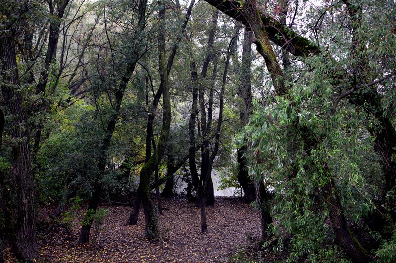 Jezero Bundek