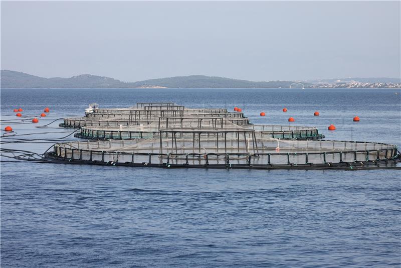 Gov't to invest HRK 666.5m in development of aquaculture until 2027