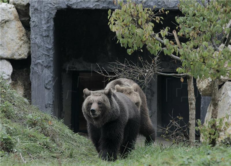 Zagrebački Zoološki vrt predstavio nove stanovnike nastambe za medvjede