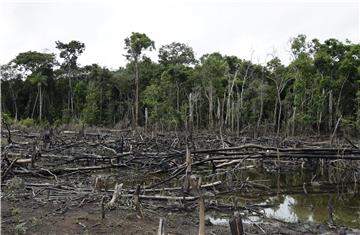 EU uskoro zabranjuje uvoz proizvoda koji pridonose deforestaciji