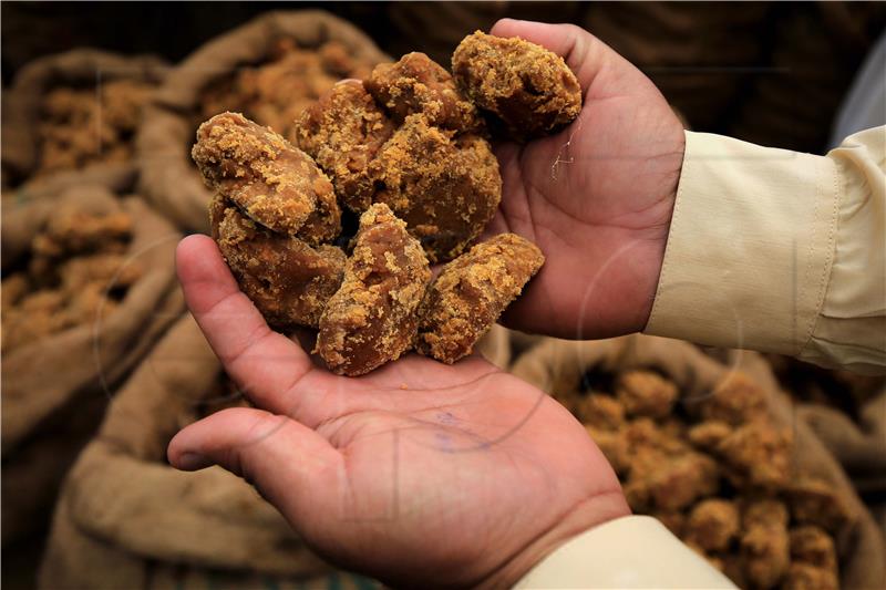 PAKISTAN AGRICULTURE JAGGERY