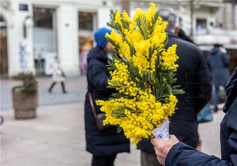 Akcija Dan mimoza 2023