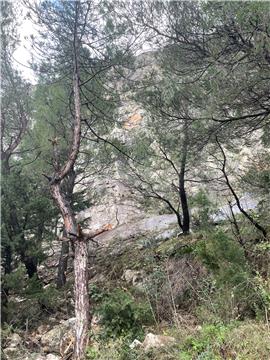 Kamene gromade pale na cestu Omiš - Radmanove mlinice, nije bilo vozila