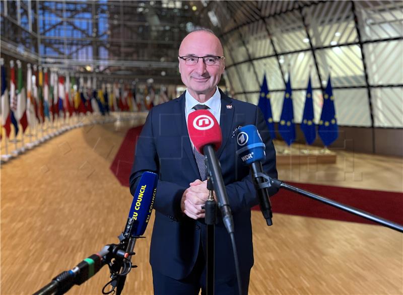 Grlić Radman: Četiri hrvatska para regulirala boravak u Zambiji