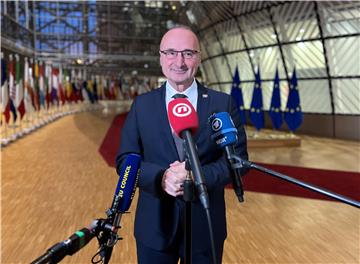 Grlić Radman: Četiri hrvatska para regulirala boravak u Zambiji