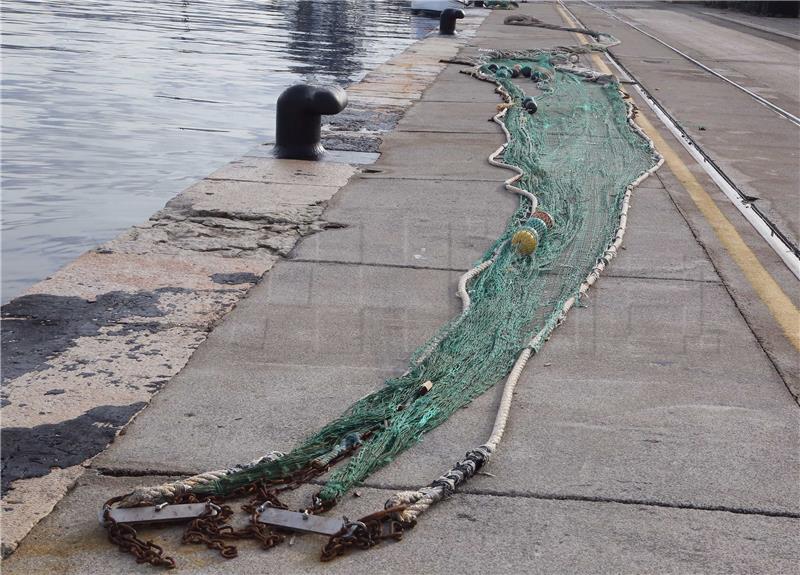 Rijeka: Na snazi je lovostaj na srdele i inćune