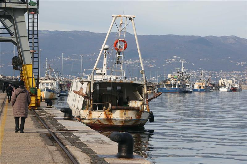 Rijeka: Na snazi je lovostaj na srdele i inćune