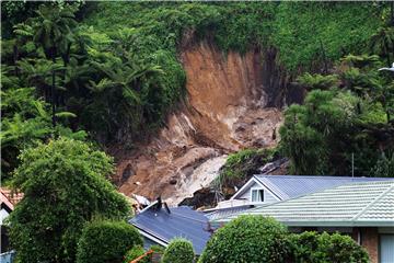 NEW ZEALAND DISASTER