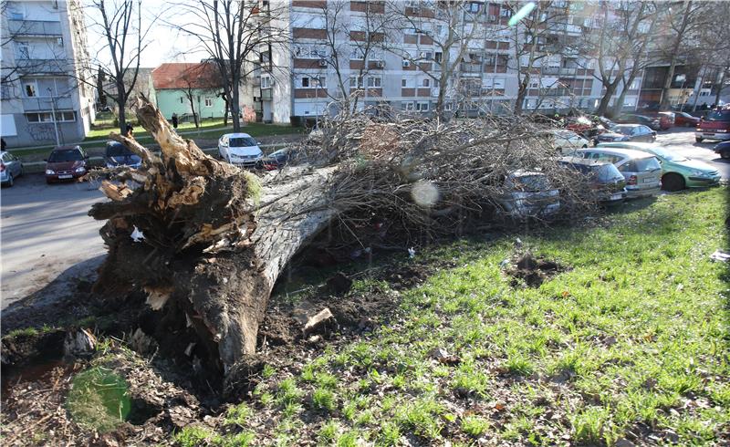 Vjetar srušio drvo na parkirane automobile