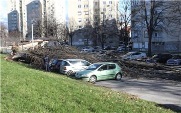 Vjetar srušio drvo na parkirane automobile