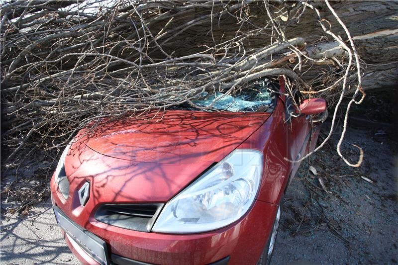 Vjetar srušio drvo na parkirane automobile