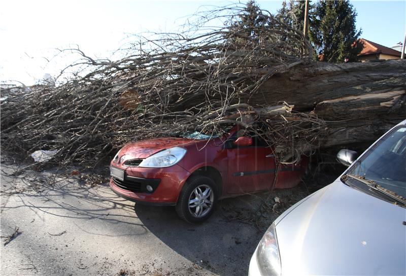 Vjetar srušio drvo na parkirane automobile