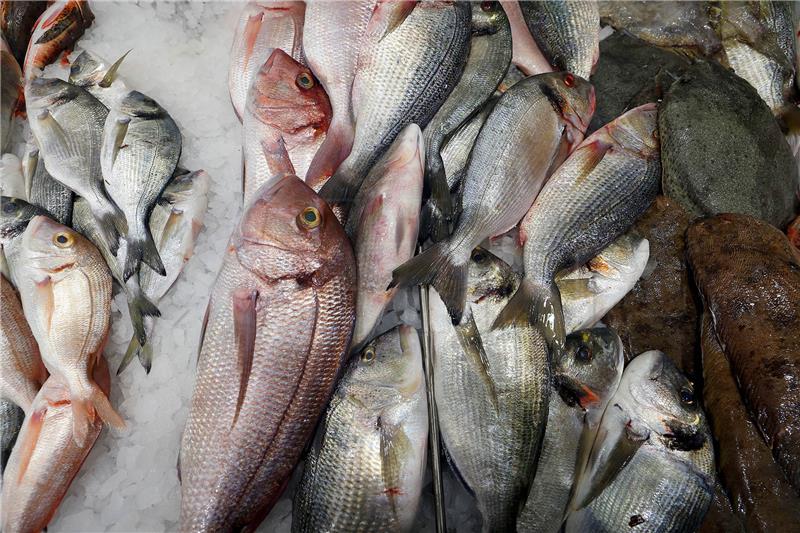 Croatia reports increased consumption of fisheries and aquaculture products