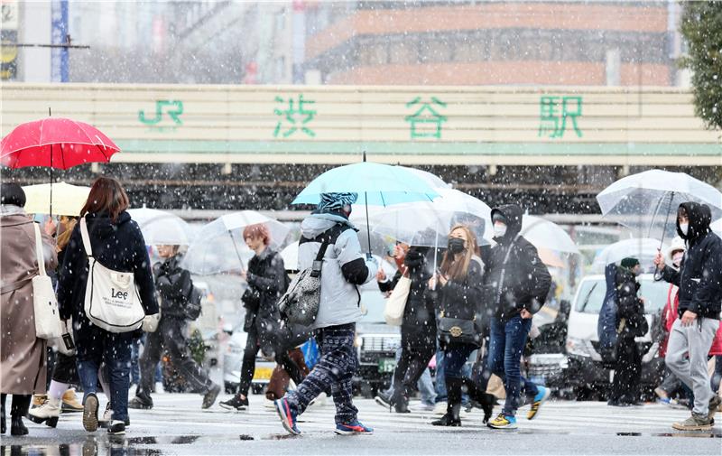 JAPAN TOKYO SNOWFALL