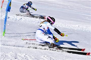 FRANCE ALPINE SKIING