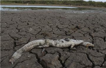 Vrućina povezana s klimatskim promjenama pogoršala učinak suše u Argentini