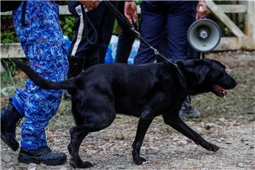 Policijski pas Boy u Šibeniku nanjušio stotine grama ecstasyja, 'speeda' i marihuane