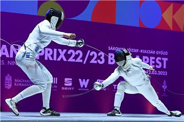 HUNGARY FENCING