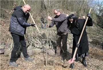 Sadnja 150 stabala hrasta lužnjaka i kitnjaka na Dubravkinom putu